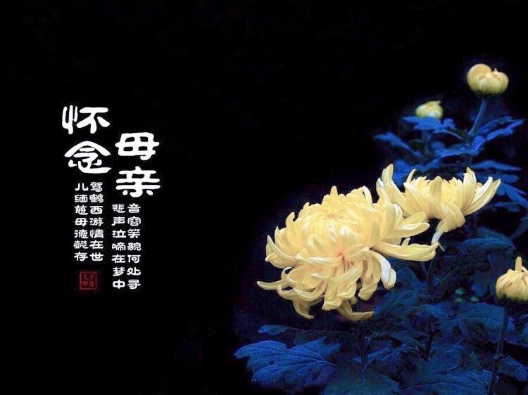 【新诗大观】怀念母亲||文/张道发