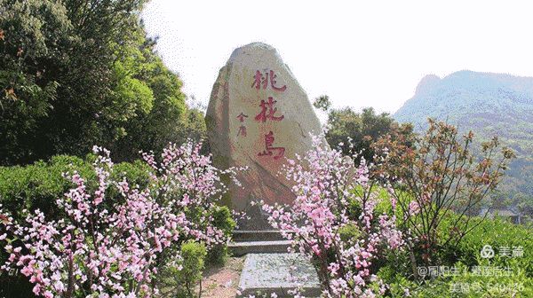 作者:周阳生《七律.春游桃花岛》《五律.桃花岛胜事》9338期~新京都文艺