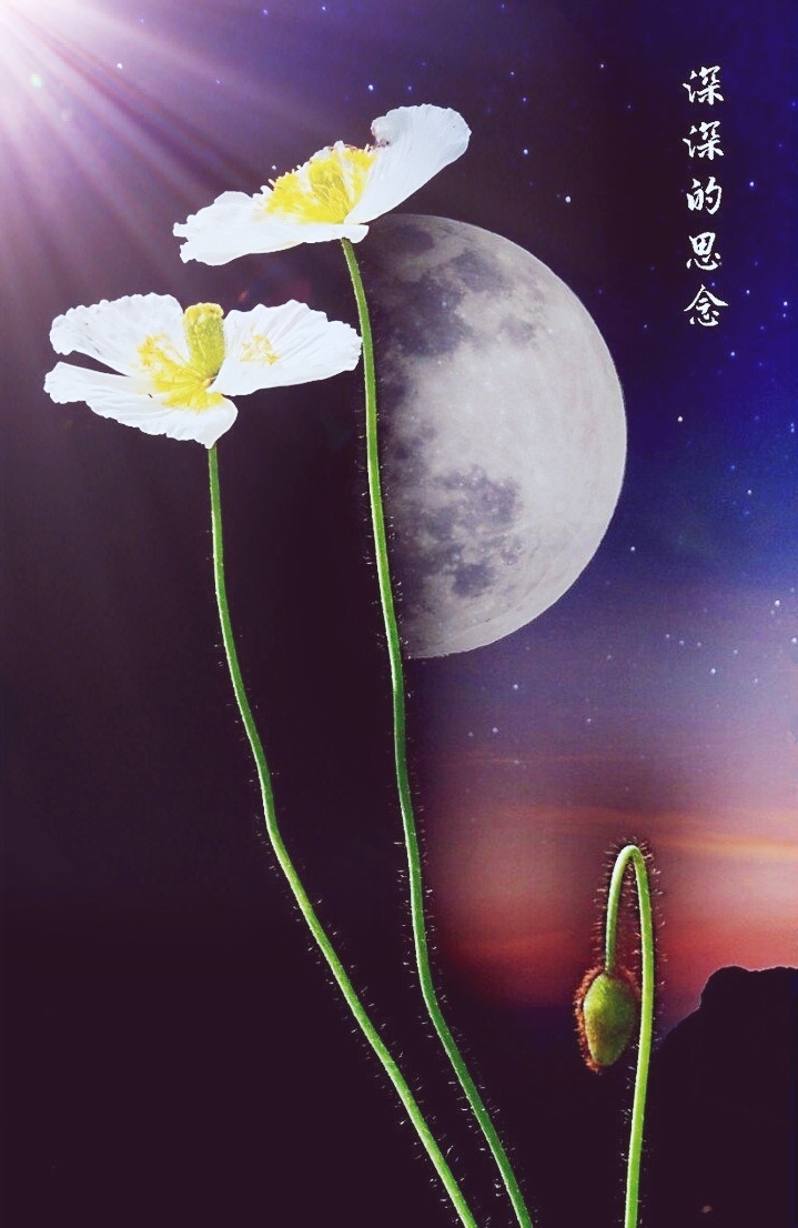 四月～诗||王春晖（图10）