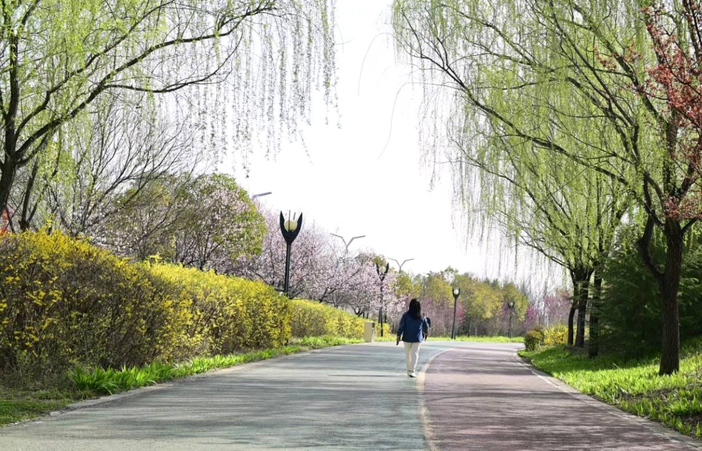 陆地的春天（图2）