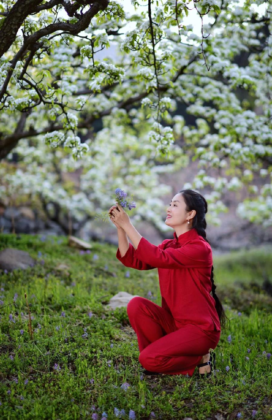 梨花（组合）诗||孙丙辉（图9）