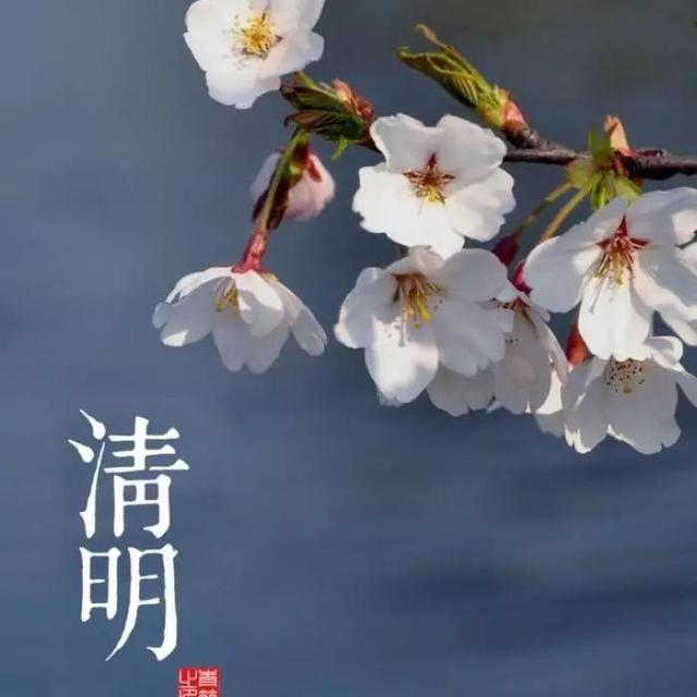 清明祭先烈/清明感吟（文/陈守邦）……莲叶之珠文学社