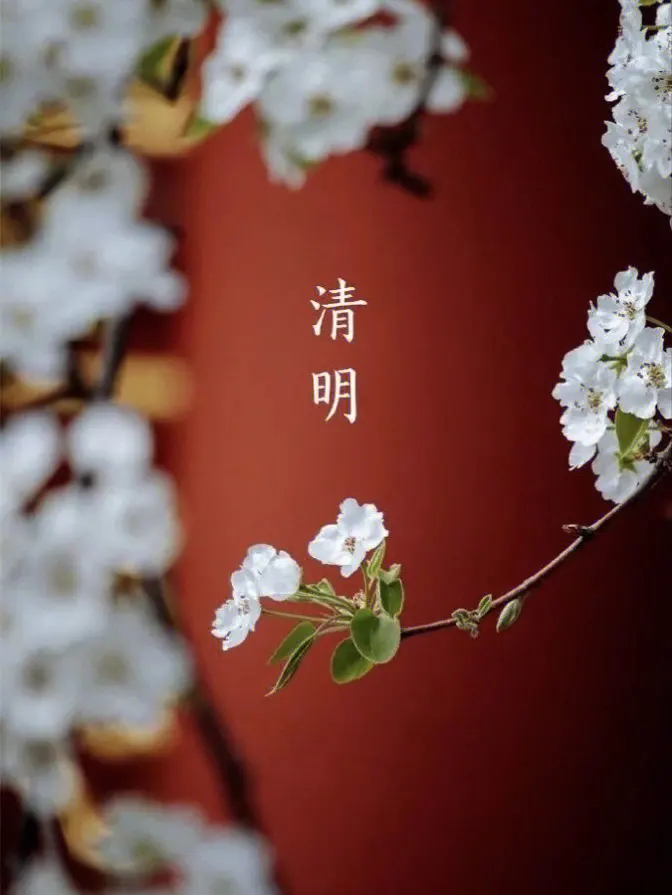 《清明诗词专辑》(诗友合集)9348期~新京都文艺(图4)