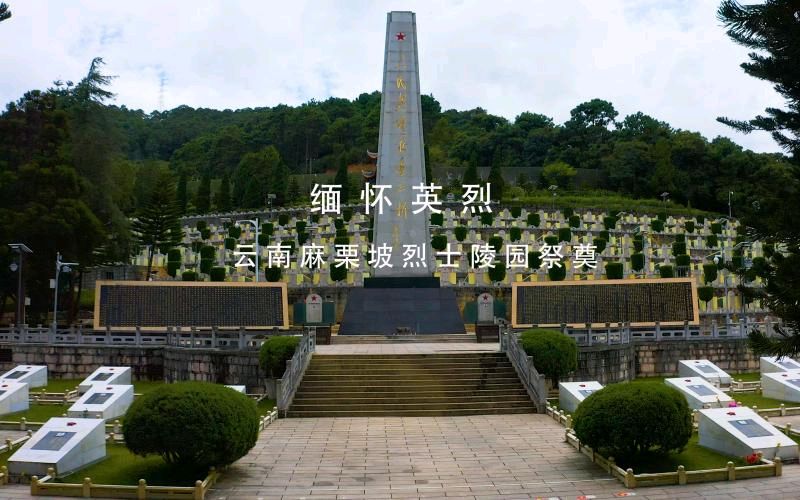 心飞麻栗坡 ‖ 作者/余育华 合诵/弘华 梦缘梦 合成配乐/弘华（图9）