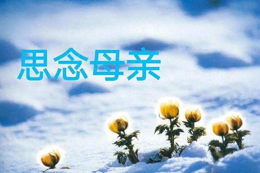 四月絮语系列～诗||雪儿（图14）