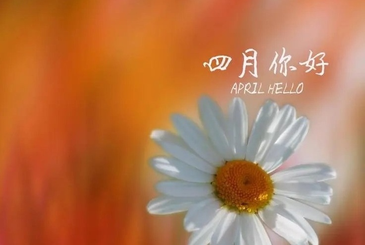 四月絮语系列～诗||雪儿（图16）