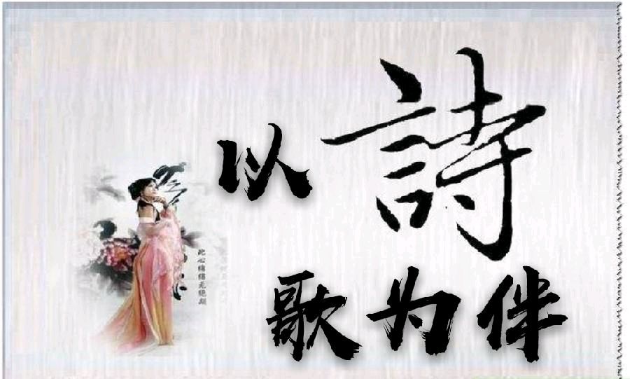 《蝼蚁国的幸福指数》（361、392）作者:陈白衣【主播:青青草】【桃源国际诗歌文化传媒】用声音传递温暖以诵读致敬人生♬（图17）