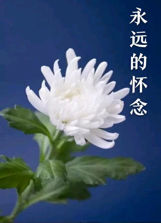 七律-清明祭～诗||雅轩琴韵（图9）