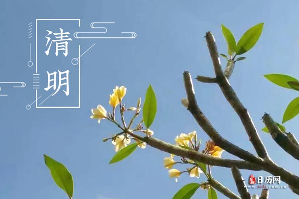 【明心文学】漂泊奇遇/清明祭坟冢 主播/薇薇（图3）