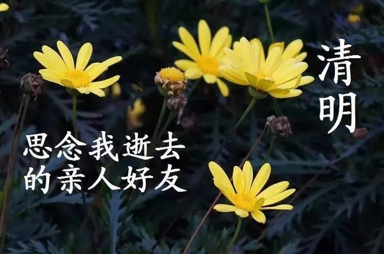 中华诗艺社推荐/刘凤亭:清明节诗词专辑(图9)