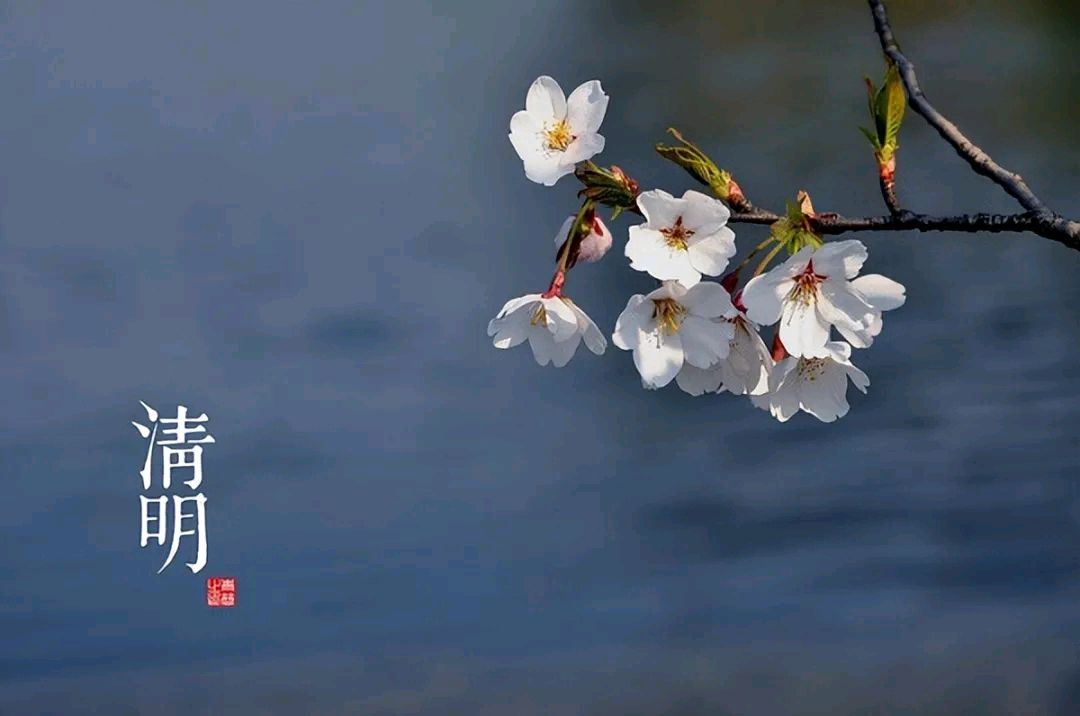 《清明》文/杨庆敏（图3）