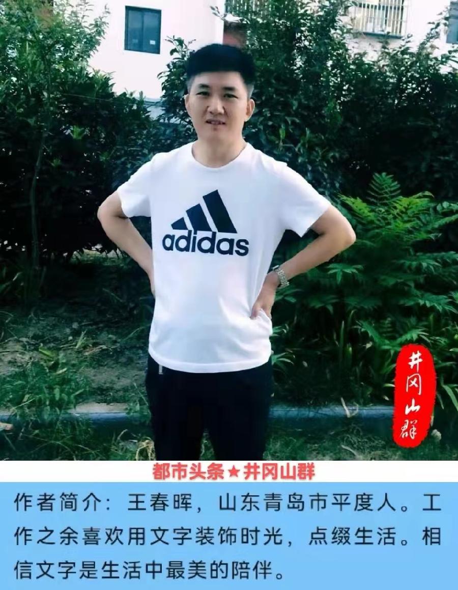 清明雨（外一首）诗||王春晖（图18）