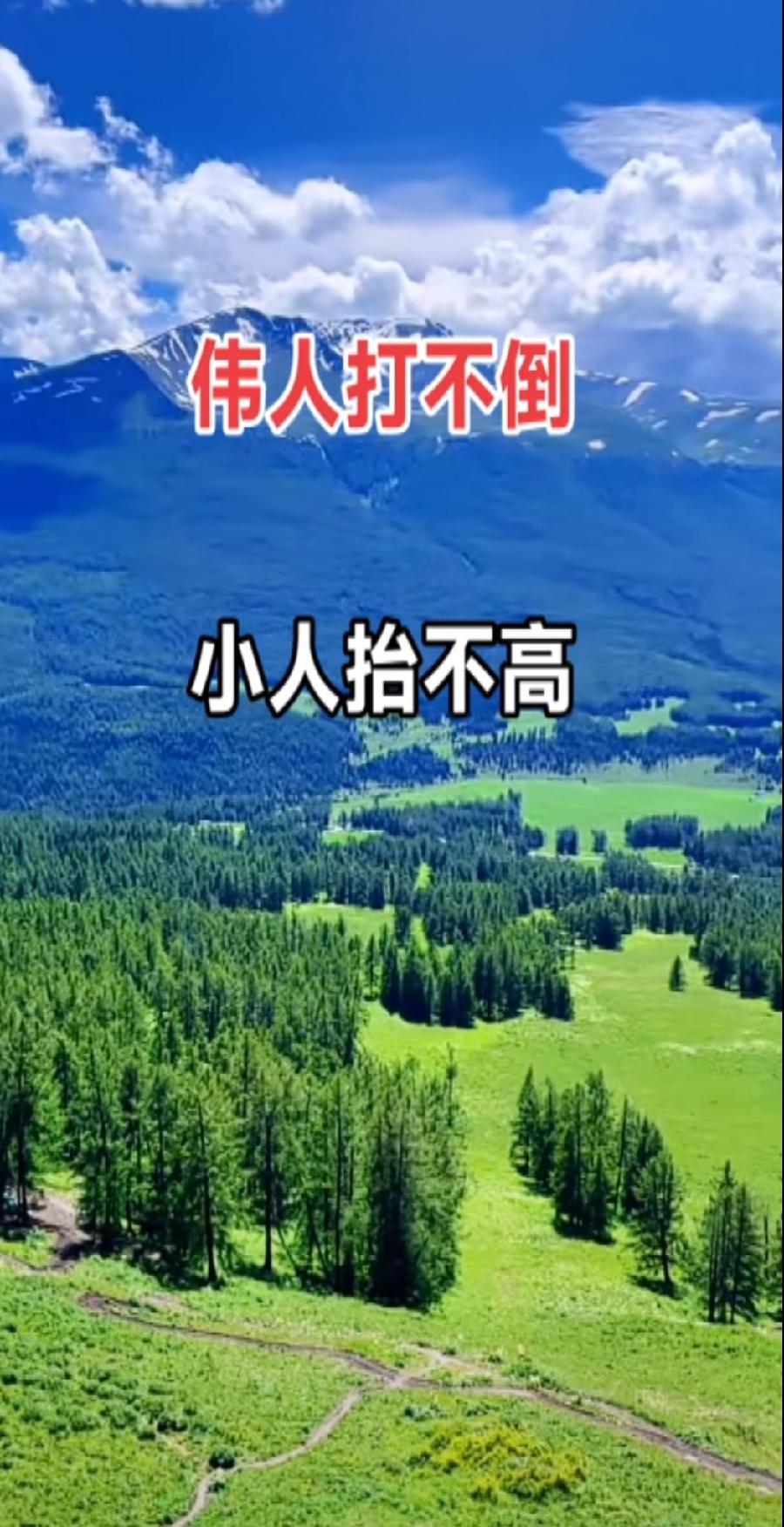 是非功过天可鉴——2024年清明节祭毛主席～诗||李耀文（图14）