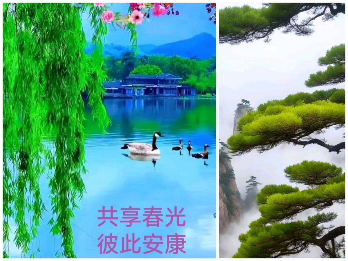 【经典推荐】鲁坡//人在旅途清风明志（图7）
