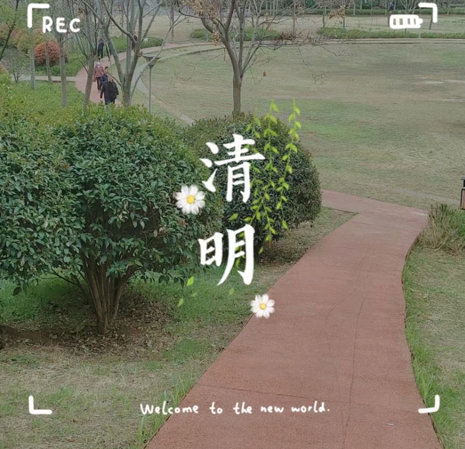 清明泪