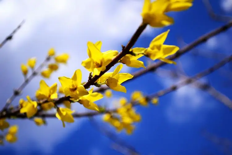 清明节‖巴彦诗词楹联协会【670】（图3）