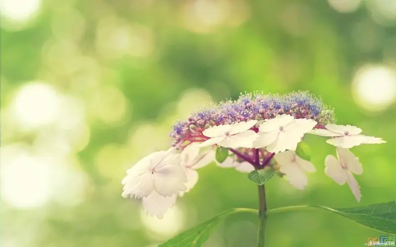 清明节‖巴彦诗词楹联协会【670】（图4）