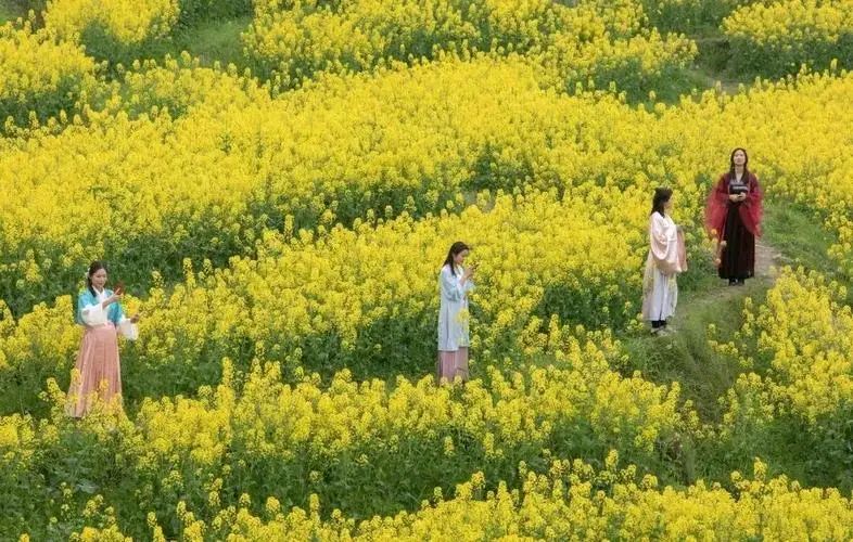 清明节‖巴彦诗词楹联协会【670】(图10)