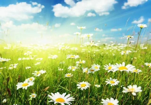 清明节‖巴彦诗词楹联协会【670】(图9)