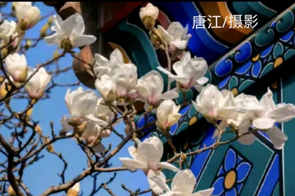 宋志光.莫天华.唐江.胡广英.刘兴华.袁名中.晓言.伍建民.牛在坤.刘长发.孟海天.胡奉玉.欧家玉.李荫达等文骚墨客唯美佳作欣赏∥中国桂林都市漓江诗书画社微刊总（第151期）（图35）