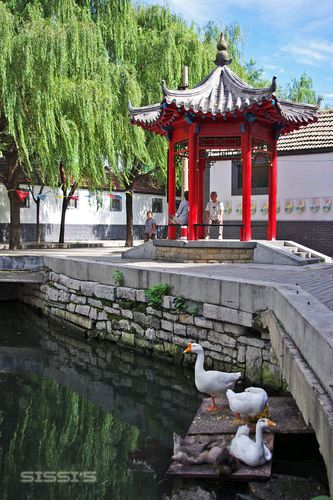 【新山东文学社】《七律.游明湖过曲水亭老街有吟》作者/王建群 主播/笑笑（图7）