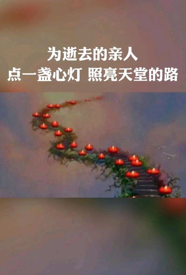 请欣赏徐志忠老师的追思作品《清明泪三泣》主播//海纳百川 编辑//海纳百川【中国长江文学社】有声文学平台【第8300期】（图6）
