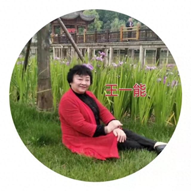 【翰林国粹诗社】才女刊157期佳作欣赏(图9)