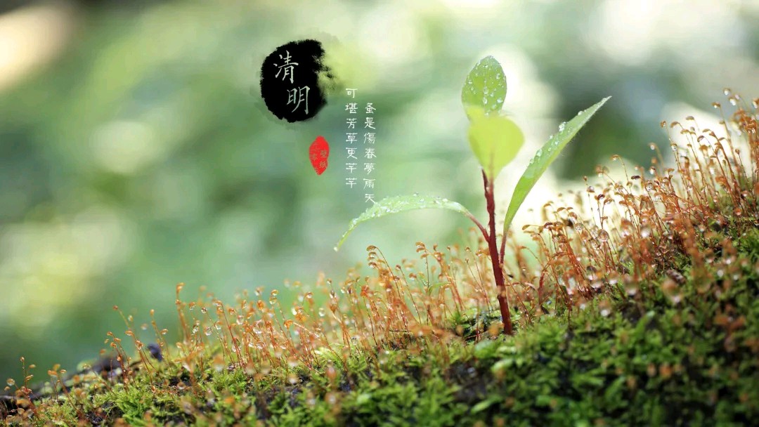 敬请欣赏青山新雨老师组诗五首（图5）