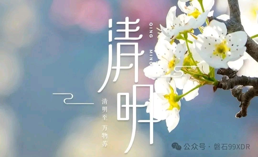 敬请欣赏青山新雨老师组诗五首（图7）
