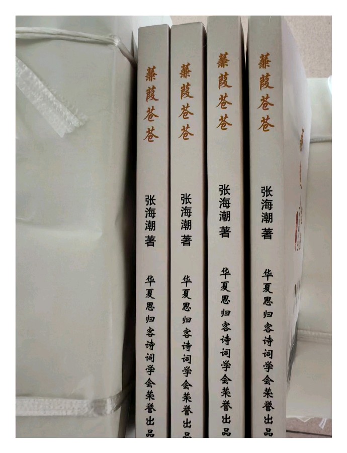 重磅消息:热烈祝贺三门峡籍作家张海潮老师的《蒹葭苍苍》新书出版……(图4)
