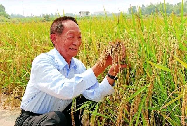 《许峰诗歌研究院》【甲辰清明节特刊】（图13）