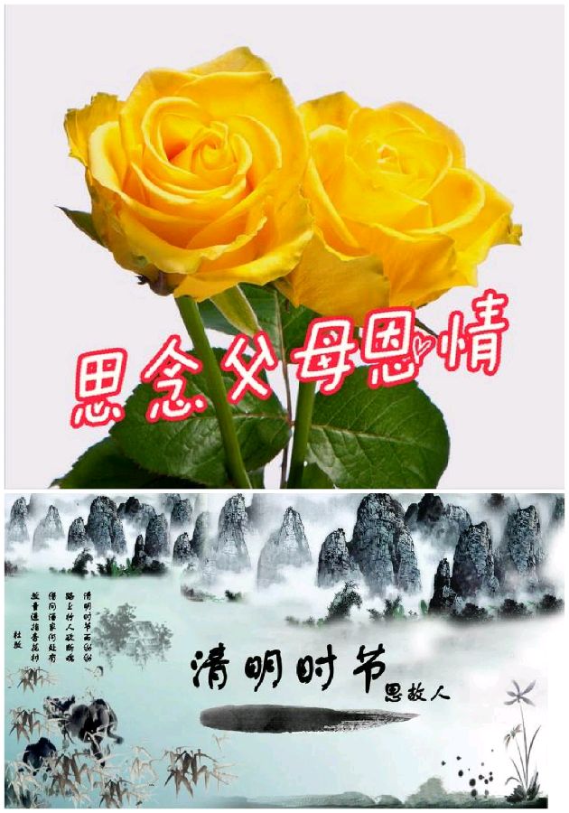 【重磅推出】鲁坡//前人辛苦后人幸福（图5）