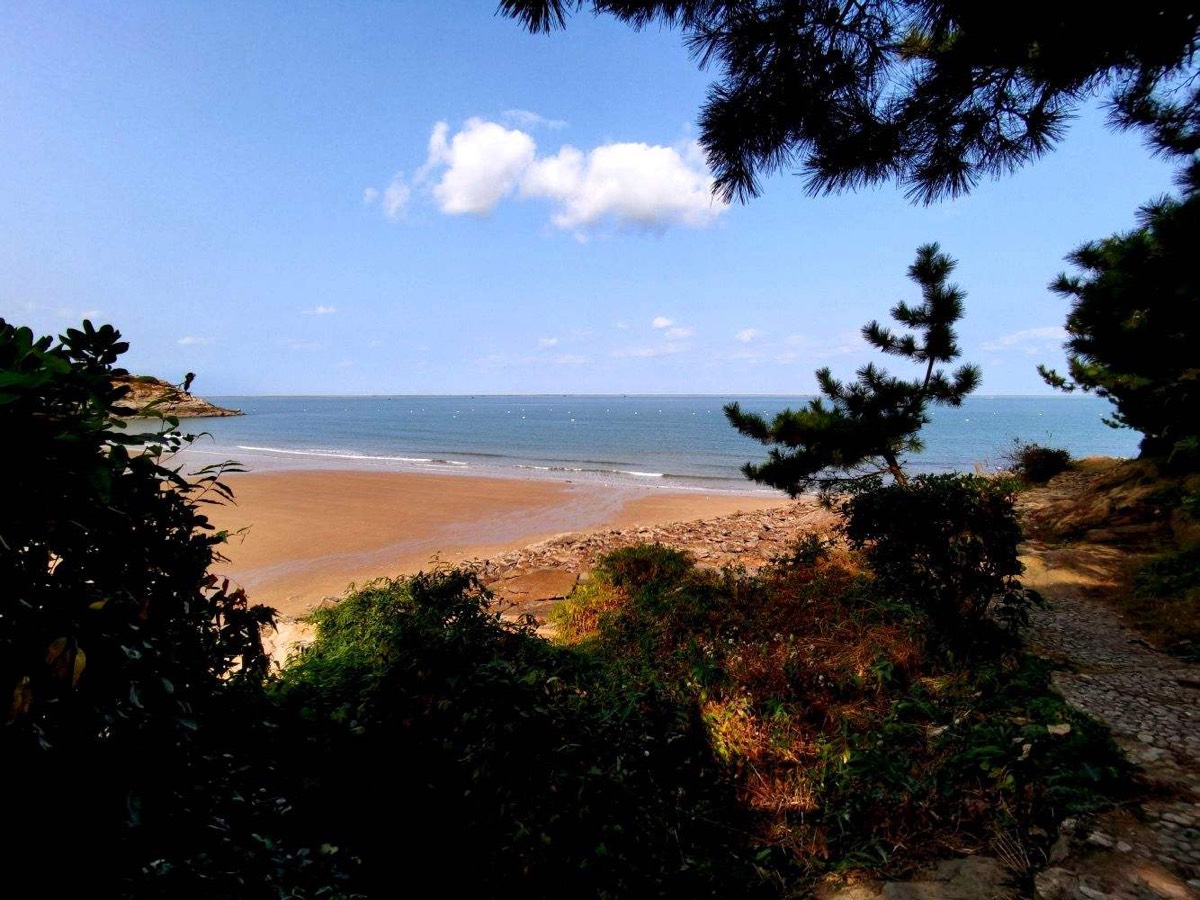 浣溪沙·知途 词／南疆一 京津沪头条（图8）