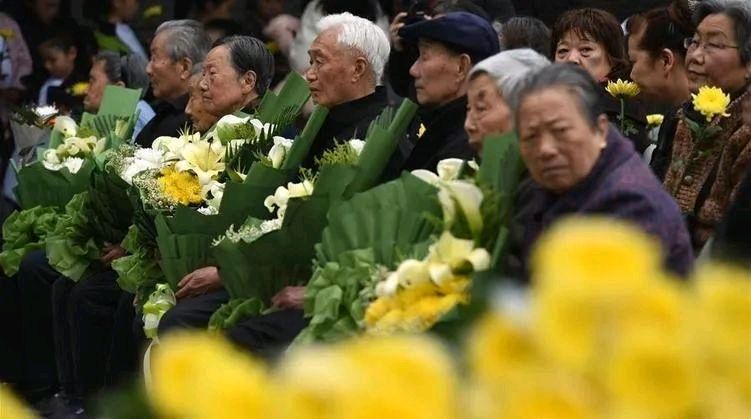 泪洒麻栗坡 ‖ 作者/余育华 朗诵/李卫（图6）