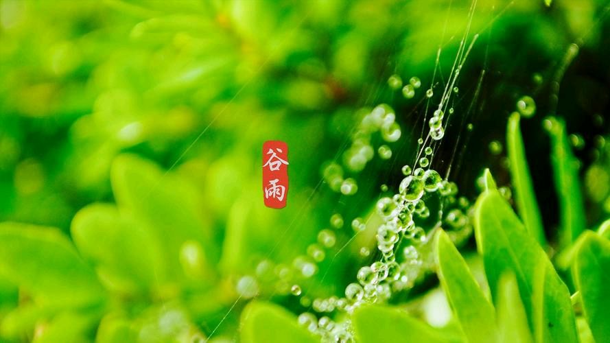 【明心文学】2024年四月节庆 作者/旷野牧童 主播/舒心快乐（图5）