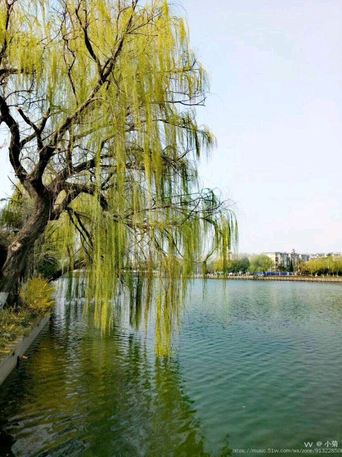 欣赏唐增虎老师西江月.春绪（图2）