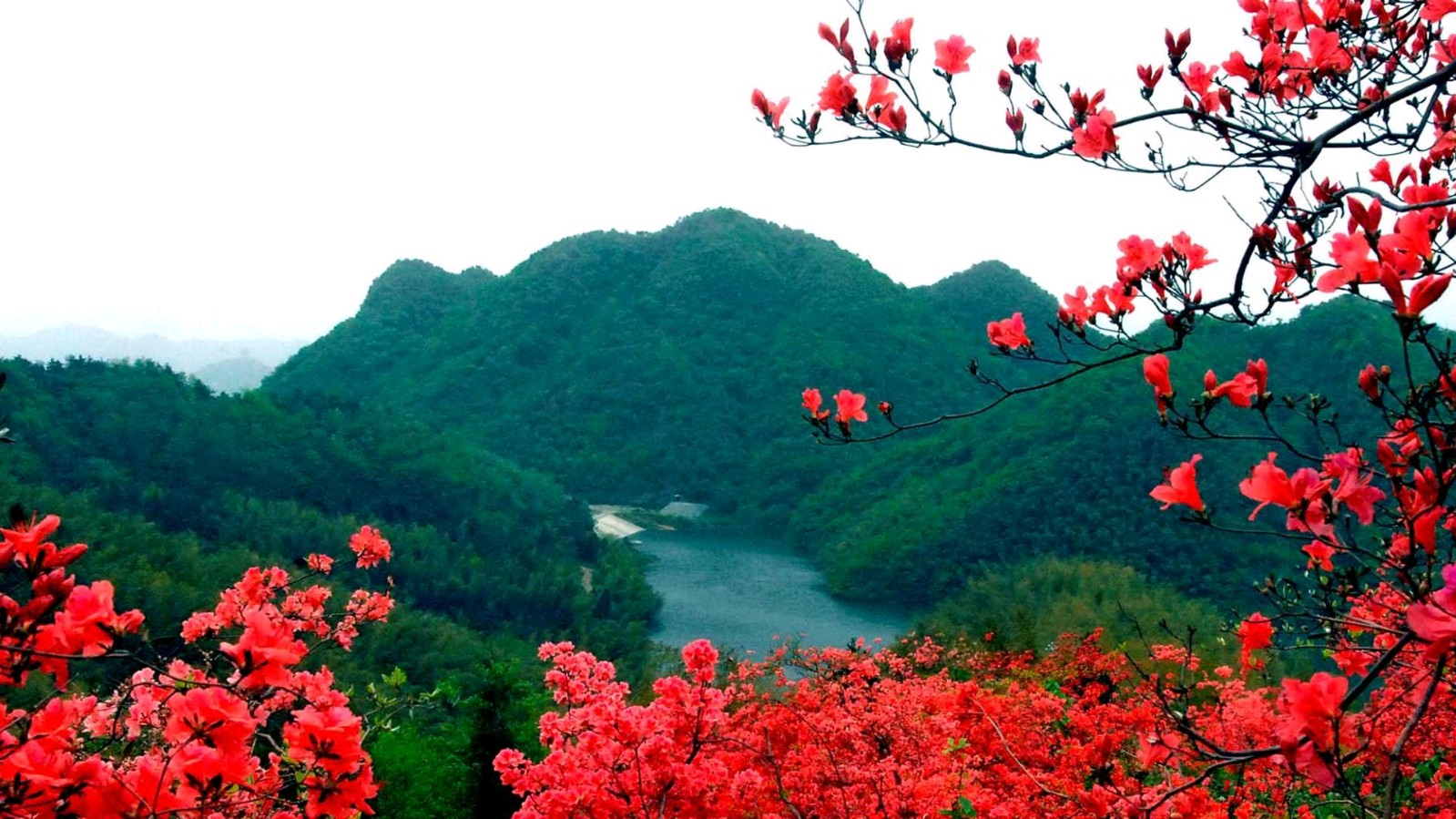 欣赏唐增虎老师西江月.春绪（图3）