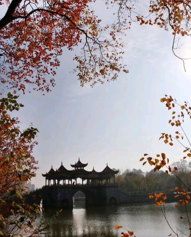 联机全球发布李辅庆作品欣赏（图14）