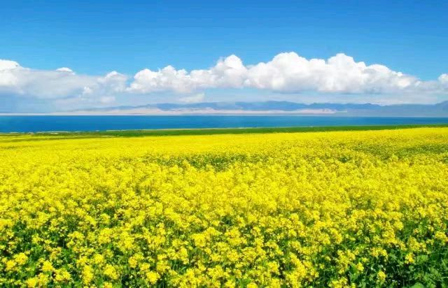 联机全球发布李辅庆作品欣赏（图13）