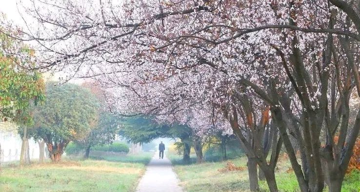 【荣耀中国】春日踏青口占文/李思義（山东临沂）（图5）