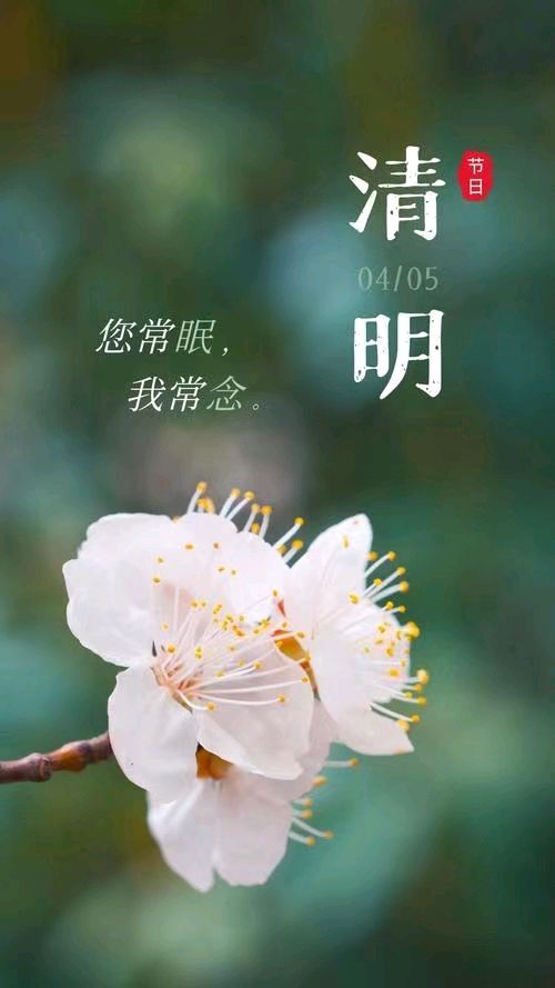 《九江文学社：北京头条》薛有毅先生《清明专刊》（图4）