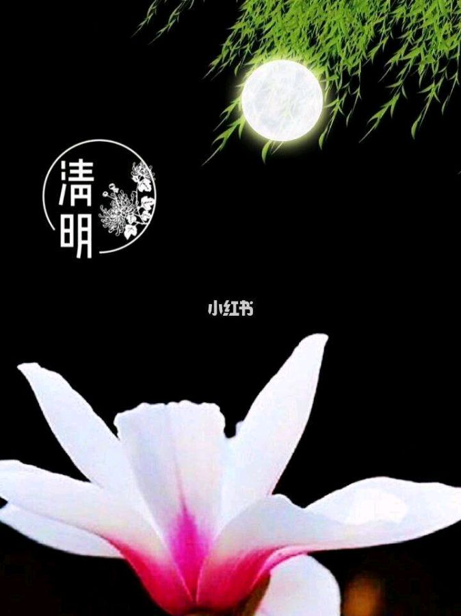 《九江文学社：北京头条》薛有毅先生《清明专刊》（图5）