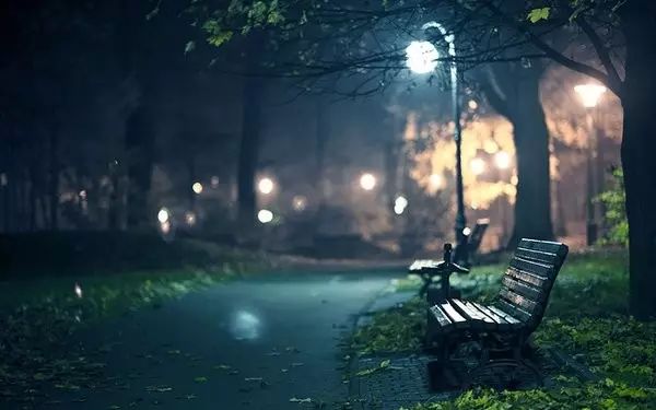 清冷的夜色 文/林水火（福建）（图3）