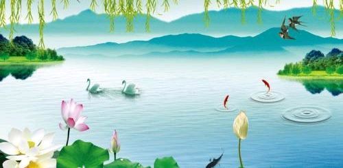 《春天的湿地公园》作者/蓝天风 诵读/立力 编辑制作/青青【花雨馨声】第613期（图5）