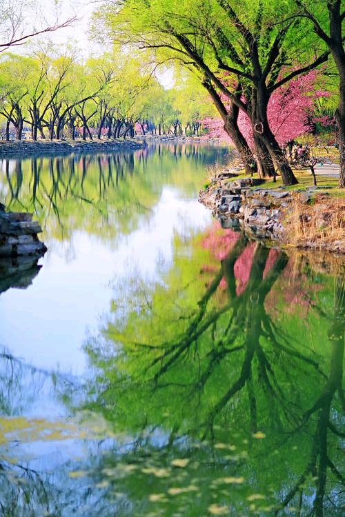 欣赏赵维远老师水调歌头.盛春（图2）