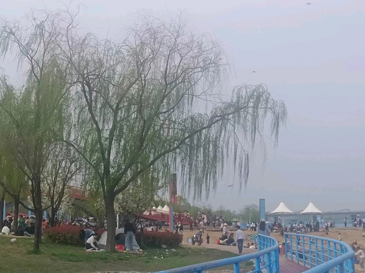 【荣耀中国】诗话人生诗歌欣赏（图7）