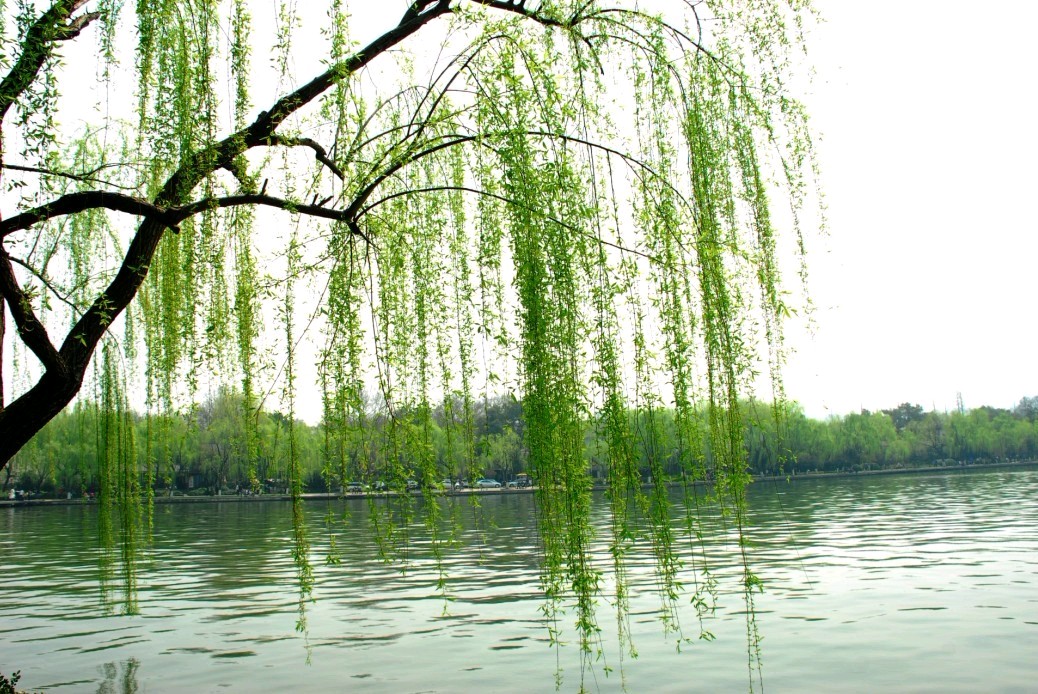 【荣耀中国】七律 · 吟晚秋(平水韵)作者/万菊芳（图3）