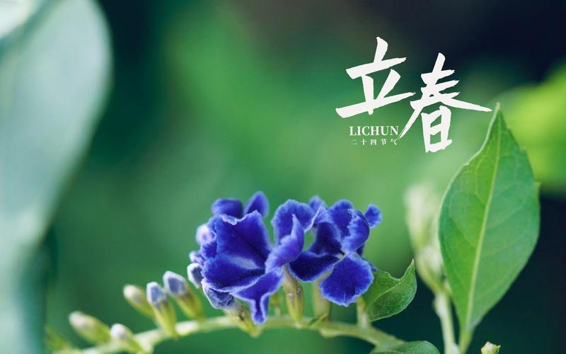 《九江文学社：北京头条》洪新爱社长近期诗作欣赏（图12）