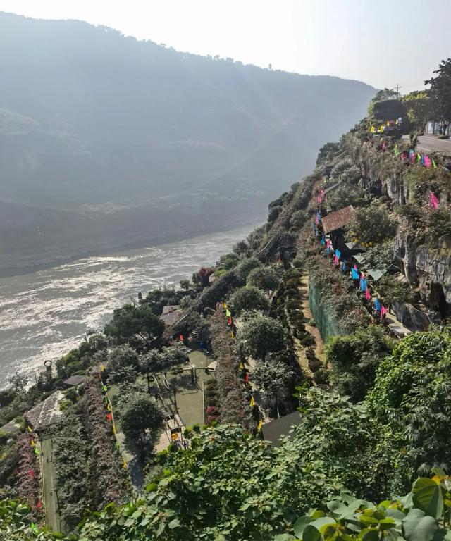「散文」我心中的大南山（图25）