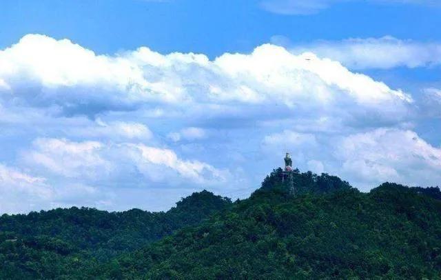 「散文」我心中的大南山（图27）